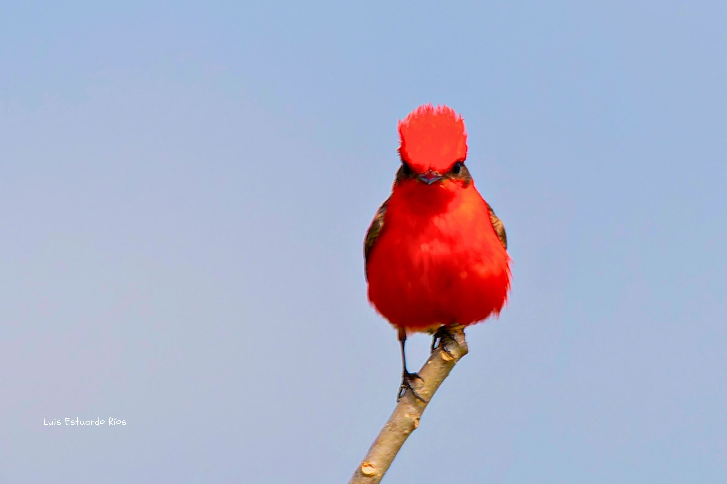 Turismo Estudiantil: Explora, Aprende y Conserva